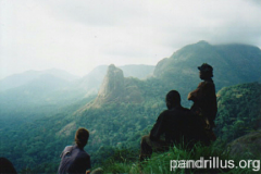 Afi Mountain Wildlife Sanctuary