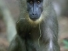 235-1B3U2921_RT16.jpg