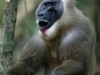 236-1B3U2945_RT16.jpg