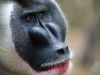 239-1B3U3684_RT16.jpg
