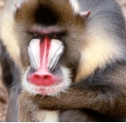 image020